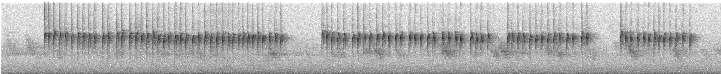 Prinia Grácil - ML30104261