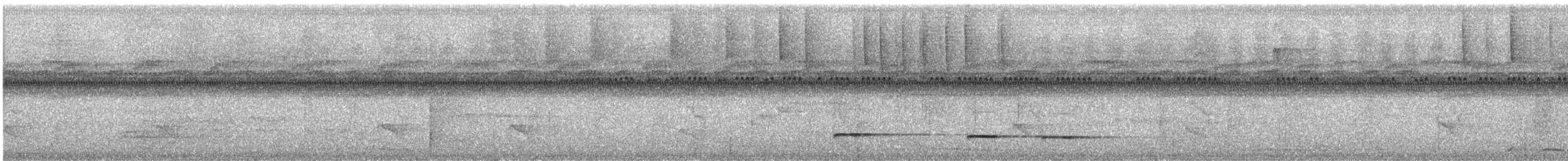 Tétéma coq-de-bois - ML301043651