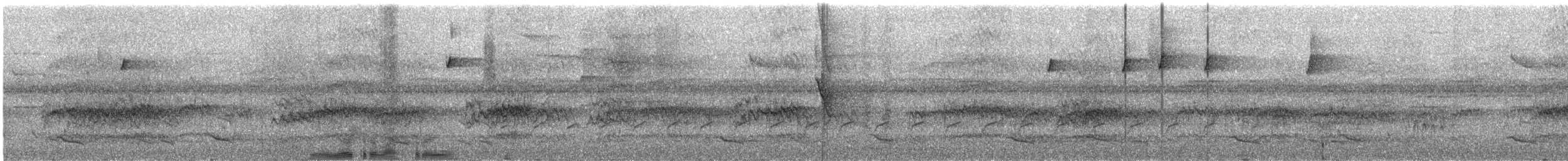 Cotorra Pintada - ML301044961