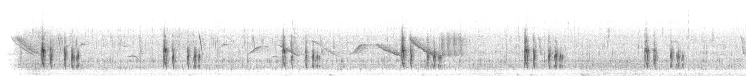 Zimmer's Tapaculo - ML301070