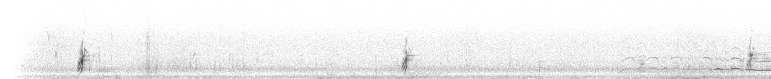 Tinamou orné - ML301155
