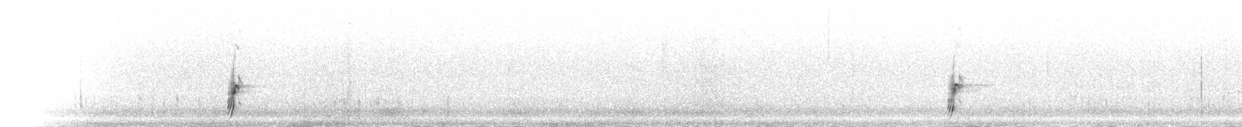 Çil Tinamusu - ML301156