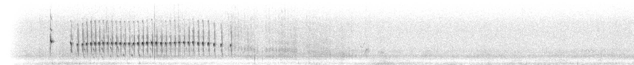 Землелаз світлочеревий (підвид jelskii/saturata) - ML301157