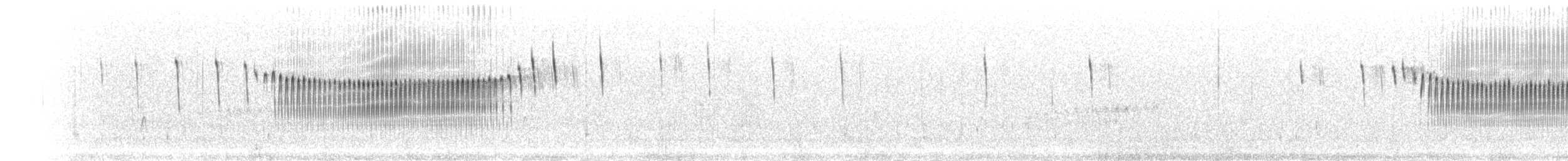 Светлокрылая трясохвостка - ML301158