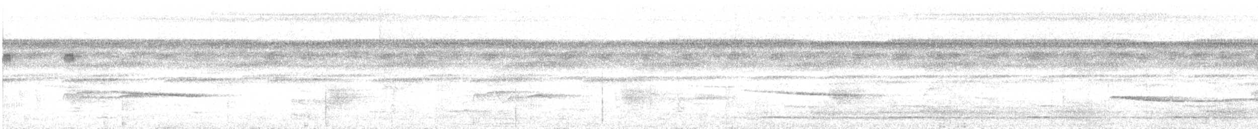 Olivaceous Schiffornis - ML301175751