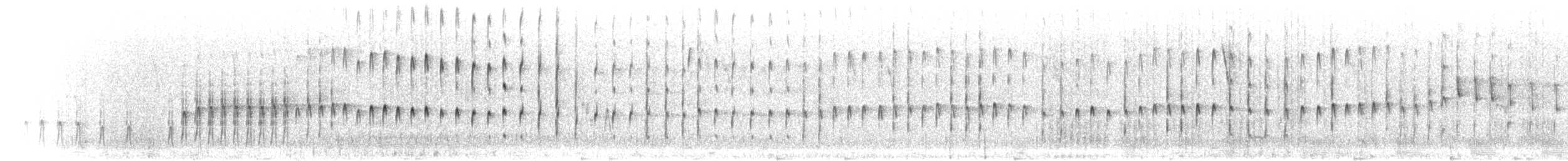 Langschnabel-Erdhacker (jelskii/saturata) - ML301181