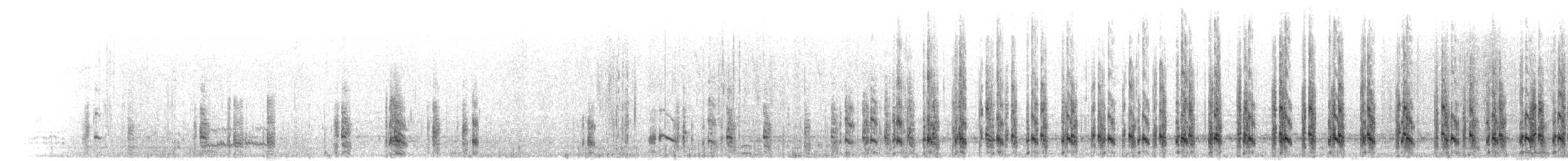 コバシフラミンゴ - ML301184