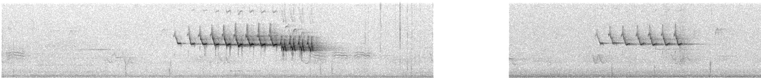 Yellow-rumped Warbler (Myrtle) - ML301219301