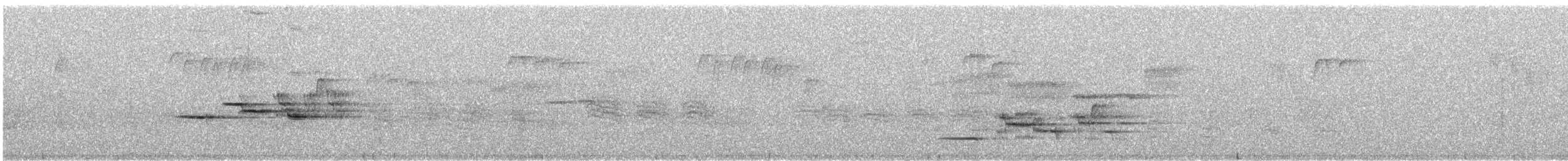 Hermit Thrush - ML301219411
