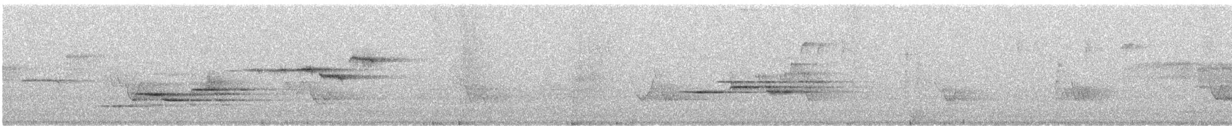 Hermit Thrush - ML301219791