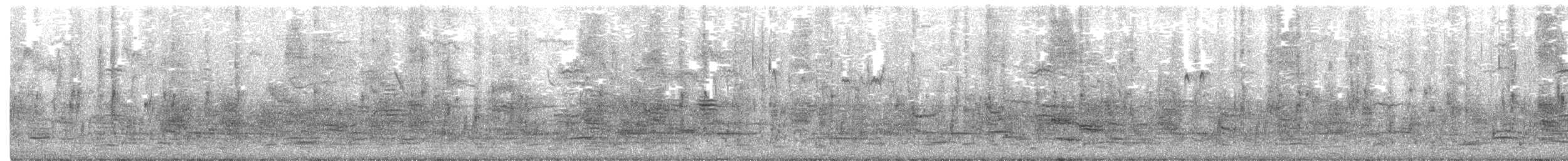 Brewer's Blackbird - ML301230071