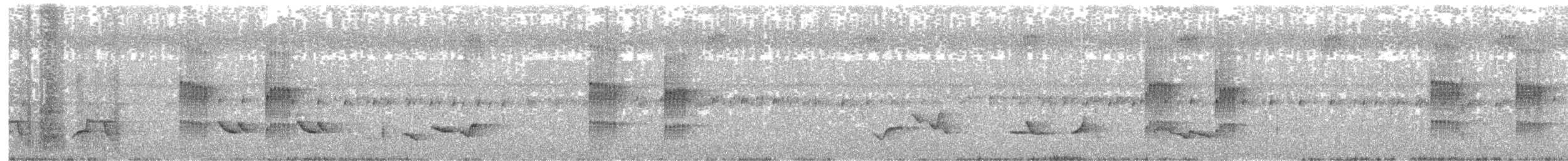 Kestane Karınlı Ardıç - ML301258411
