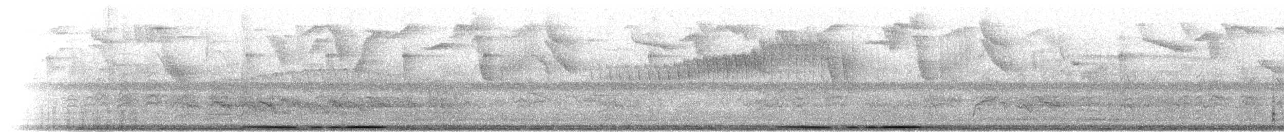 Large-tailed Dove - ML301288