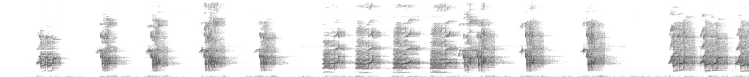 Rotstirnamazone - ML301311701