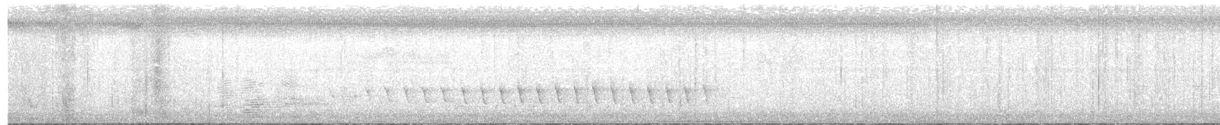 Buchenschnäppertyrann - ML30131821