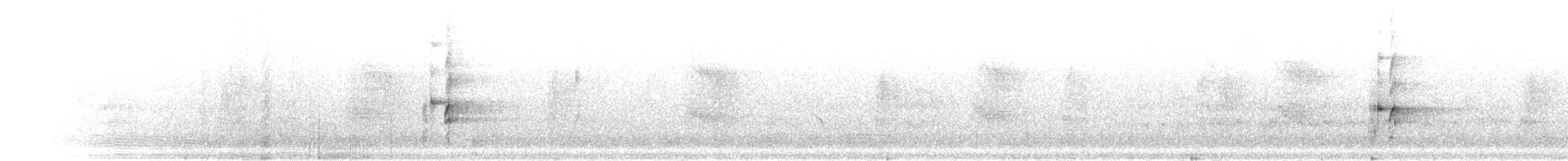 Зелонощёкая которра - ML301331