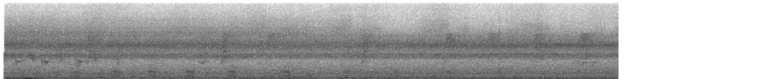 husovec strakatý - ML301337361