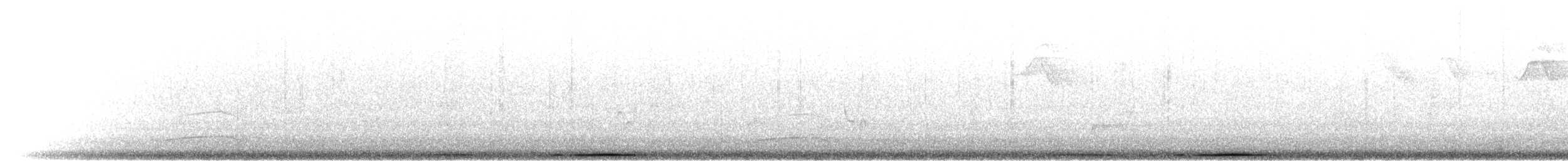 Андская голубка - ML301356