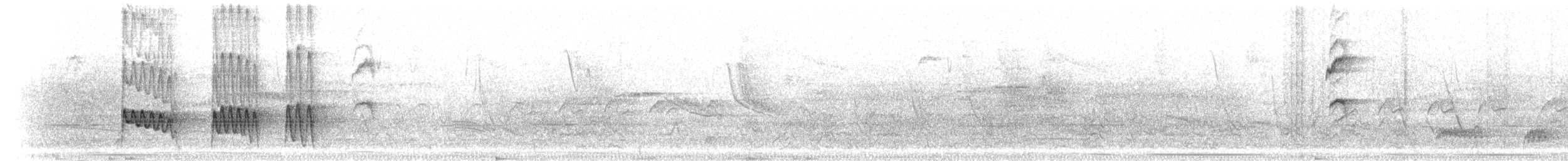 Скрытохвост татаупа - ML301369