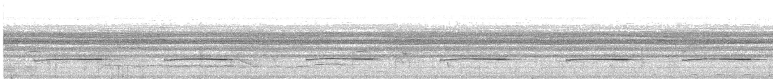 svarthodeskredderfugl - ML30137311