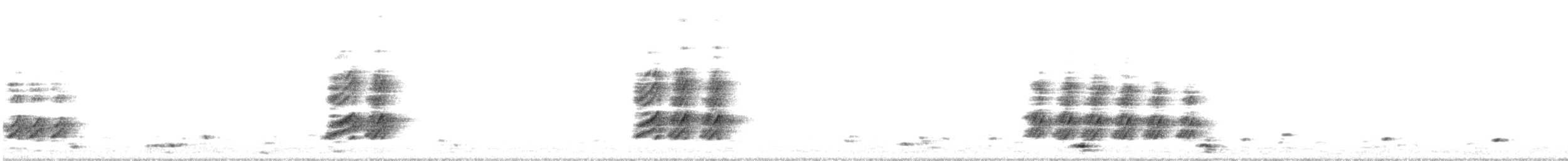Kara Gagalı Saksağan - ML301375961