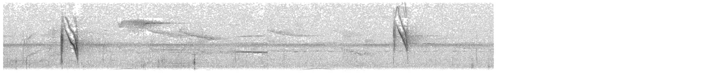 Острохвостый цикадник - ML30137891