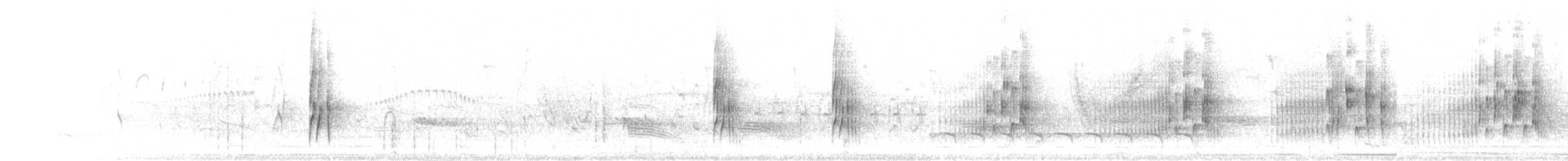 Graubrust-Zwergtyrann - ML301379