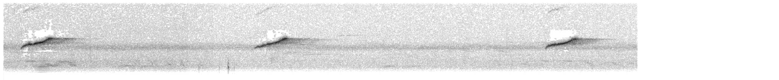 Острохвостая нектарница - ML30138001