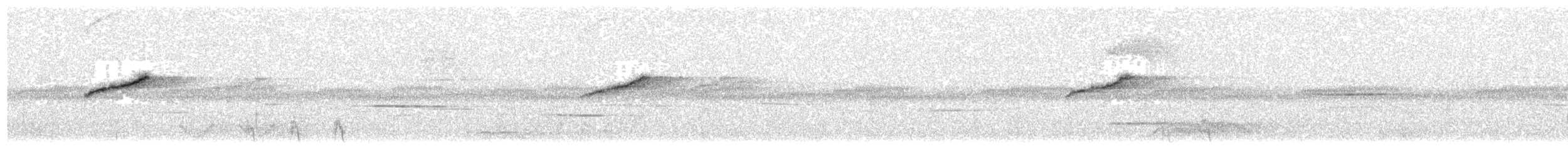 Острохвостая нектарница - ML30138021