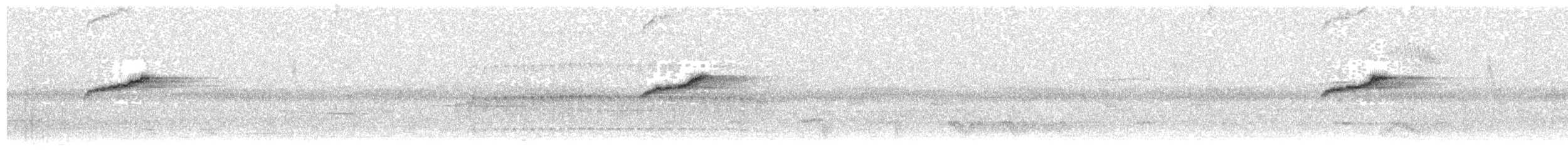 Острохвостая нектарница - ML30138051
