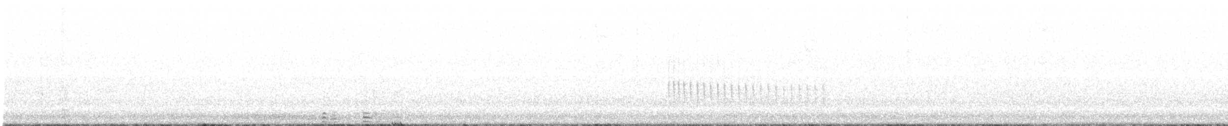 Cygne trompette - ML301385111