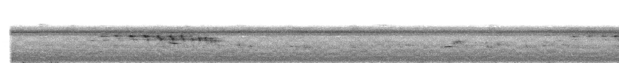 stripehodestifthale - ML301396261