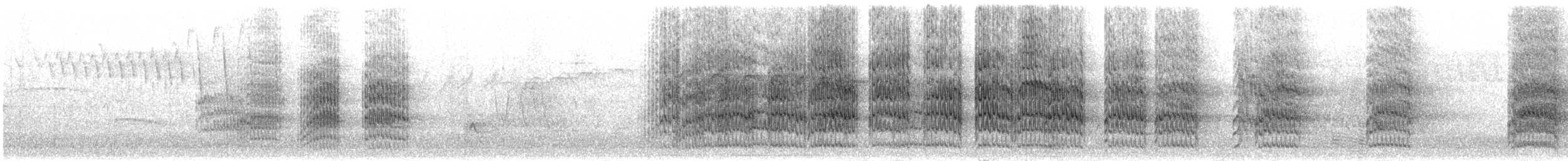 Mönchssittich [monachus-Gruppe] - ML301424