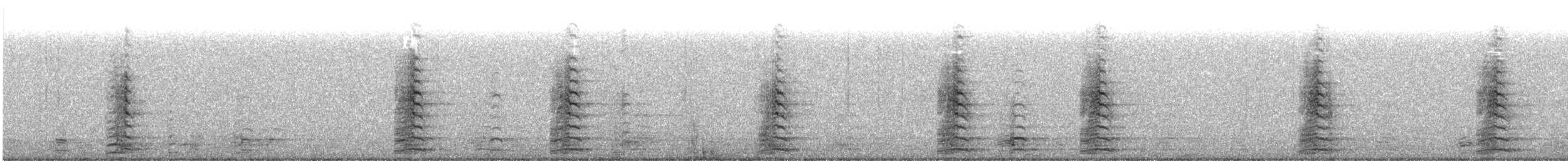 Gans (domestiziert) x Kanadagans (Hybrid) - ML301424781