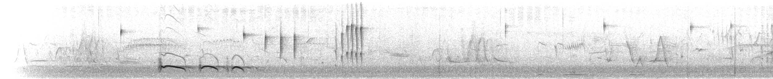 flekkdovenfugl (striatipectus) - ML301425