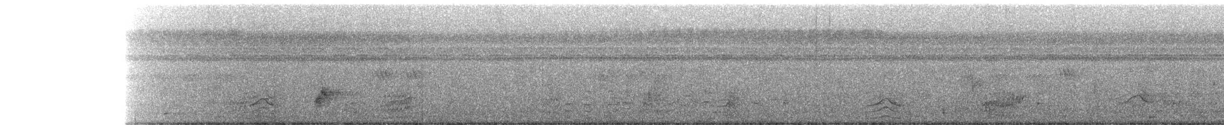 Spotted Buttonquail - ML301425201