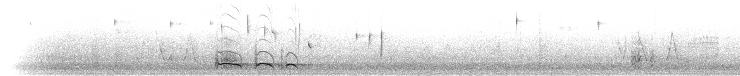 Лінивка-смугохвіст плямистобока (підвид striatipectus) - ML301428