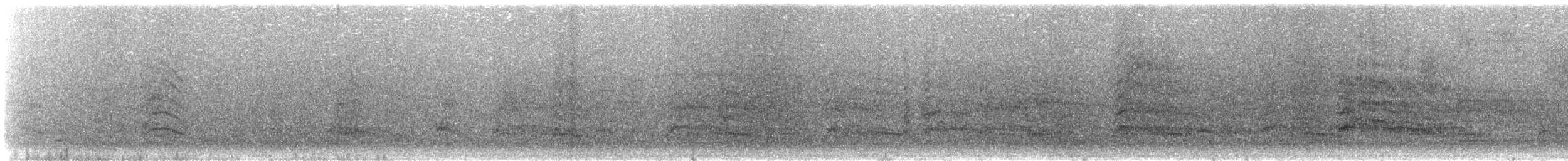 Mouette argentée (scopulinus) - ML301435241