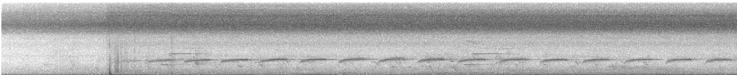 Sahul Tırtılyiyeni - ML301438051