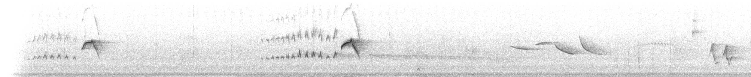 Тиранчик-короткодзьоб південний - ML301441