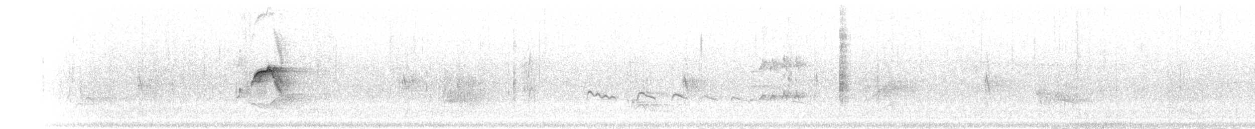 Тиранчик-короткодзьоб південний - ML301442