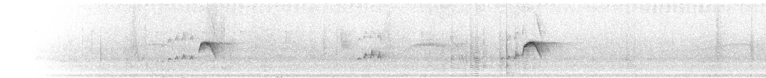 Тиранчик-короткодзьоб південний - ML301448