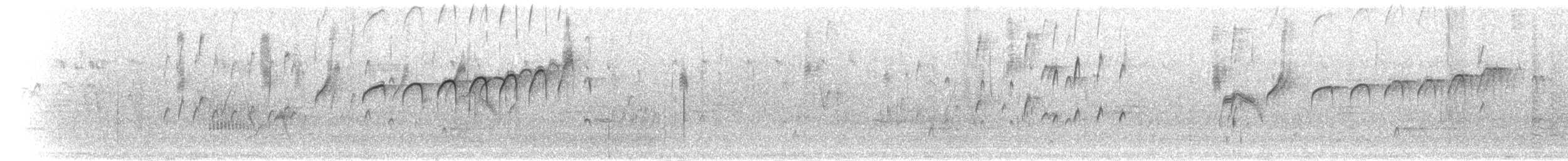 Siyah Taçlı Tiran - ML301466