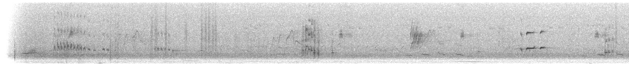 Degenschnabel-Baumsteiger - ML301472