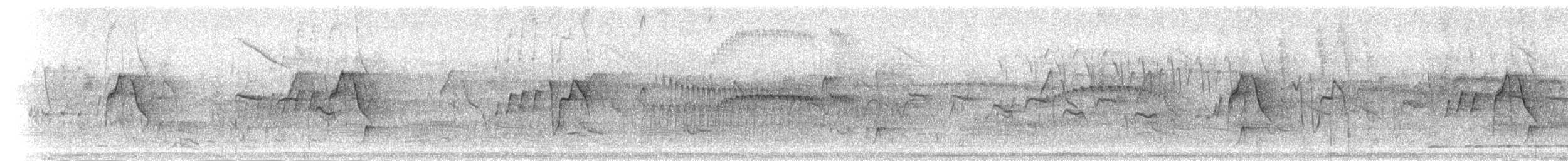 Тиранчик-короткодзьоб південний - ML301494