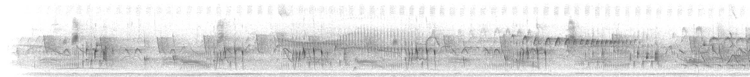 Серогрудый трескунчик - ML301496