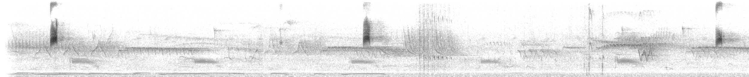 Graumaskentyrann - ML301499