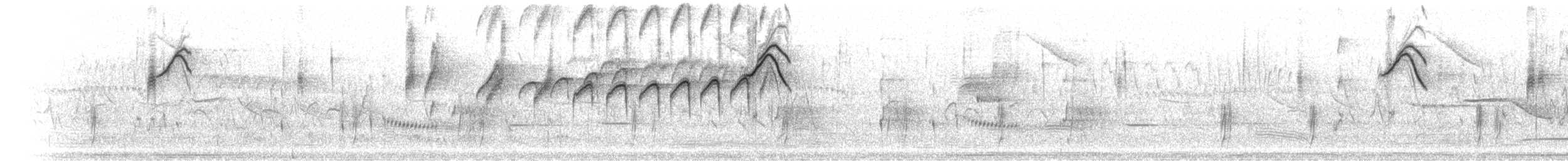 Graumaskentyrann - ML301508