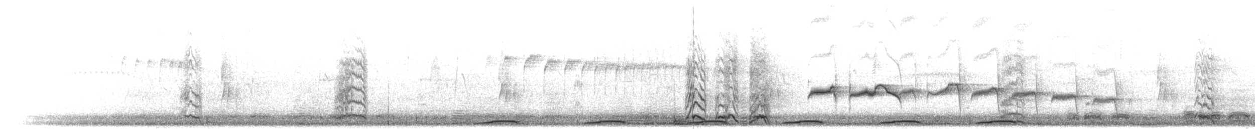 holoubek pikui - ML301512