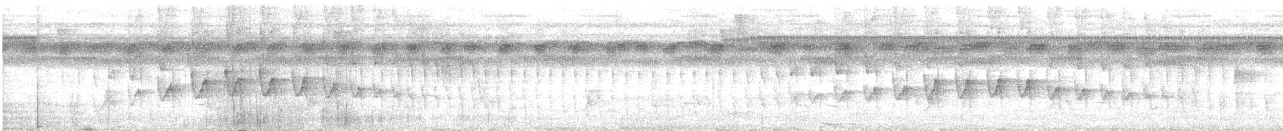 Microxénops à queue rousse - ML301513771